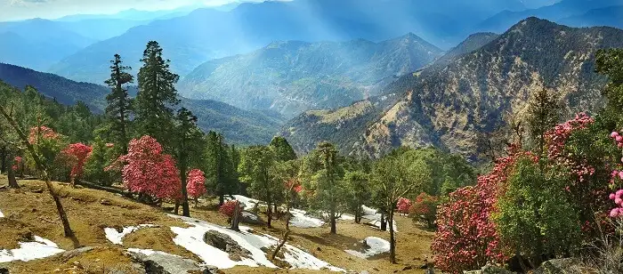 Kausani in summer